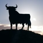 EL TORO - Tercer Premio 2025