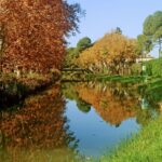 "ESPEJO EN EL CANAL IMPERIAL", Nati Trapero