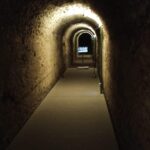 "LAS ENTRAÑAS DE ZARAGOZA", José Miguel Pérez