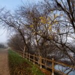 "SILENCIO EN LA RIBERA", Maria Angeles Marqueta