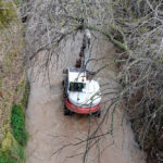 "UN CISNE", Jesús Santaengracia